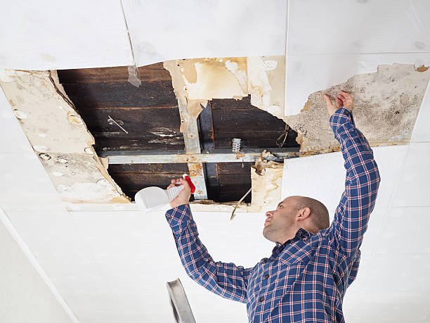  Stanton, TX Mold Removal Pros